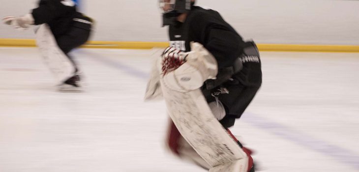 Skating on edges only